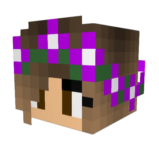 PinkyPie223 Minecraft avatar head, 3D render