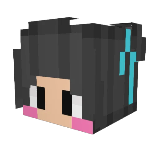 PinkyWinky00 Minecraft avatar head, 3D render