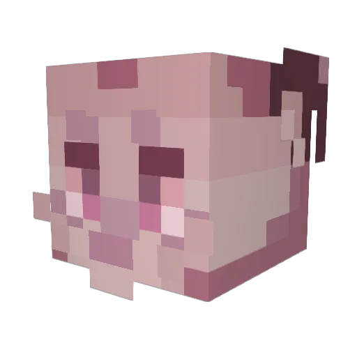 Pinky_Furry Minecraft avatar head, 3D render