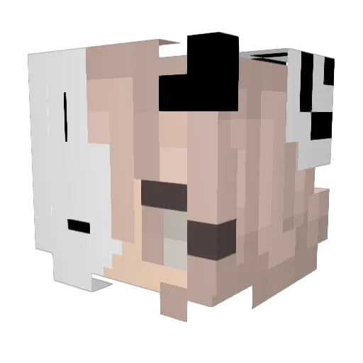 Pinkydog_1 Minecraft avatar head, 3D render