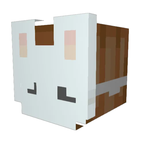 Pinluu Minecraft avatar head, 3D render