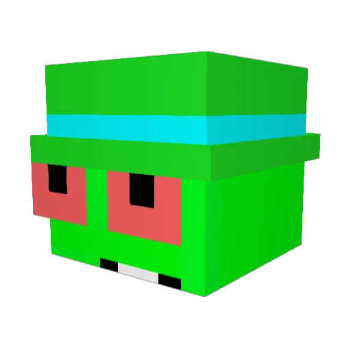 PinnNH Minecraft avatar head, 3D render