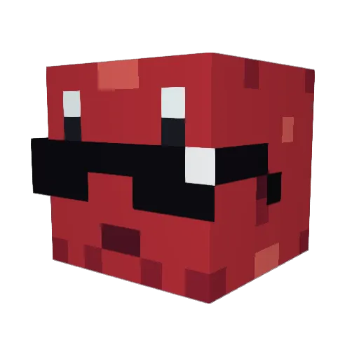Pinne Minecraft avatar head, 3D render