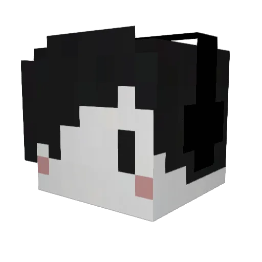 Pinnecks Minecraft avatar head, 3D render