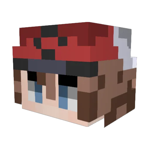 Pinniii Minecraft avatar head, 3D render