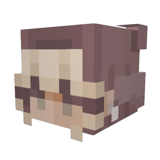 Pinnuska Minecraft avatar head, 3D render