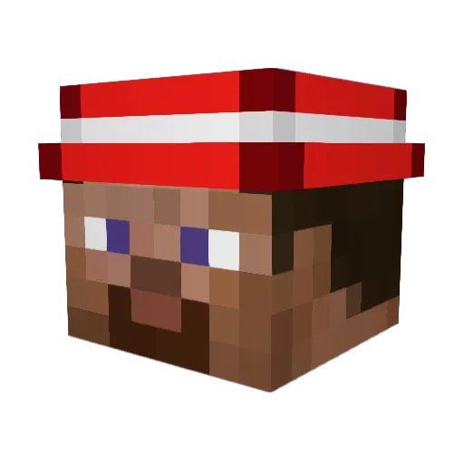 Pinnz Minecraft avatar head, 3D render