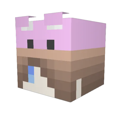 Pino56 Minecraft avatar head, 3D render