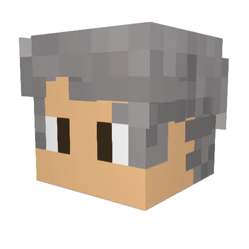 Pinoak89 Minecraft avatar head, 3D render