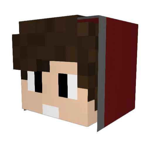 Pinokio_Gamer Minecraft avatar head, 3D render
