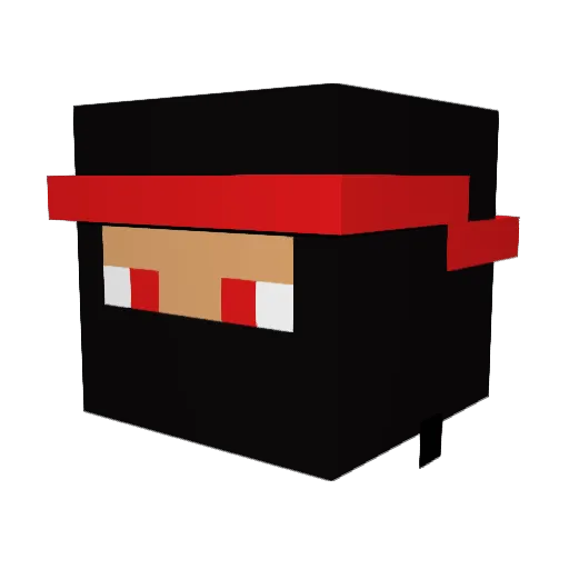 PinpointAnt374 Minecraft avatar head, 3D render