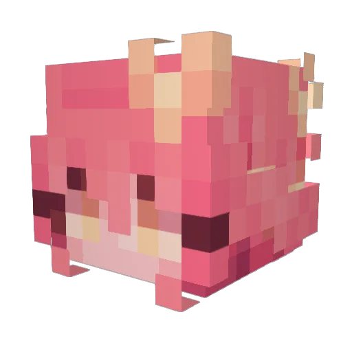 Pinpoio Minecraft avatar head, 3D render