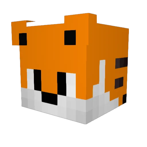 PinqPonq_ Minecraft avatar head, 3D render