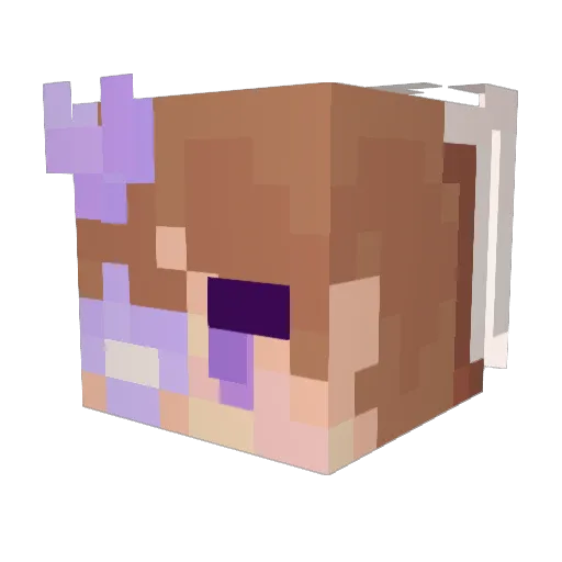Pinqoe Minecraft avatar head, 3D render