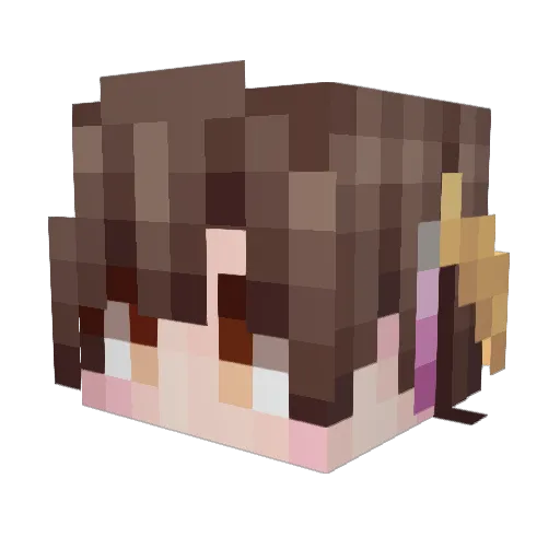 Pins30 Minecraft avatar head, 3D render