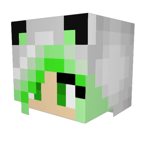Pinselfuchs_ Minecraft avatar head, 3D render