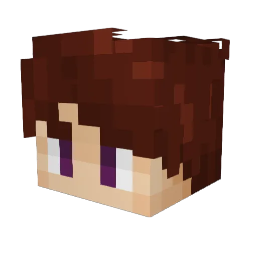 PinseltheFluf Minecraft avatar head, 3D render