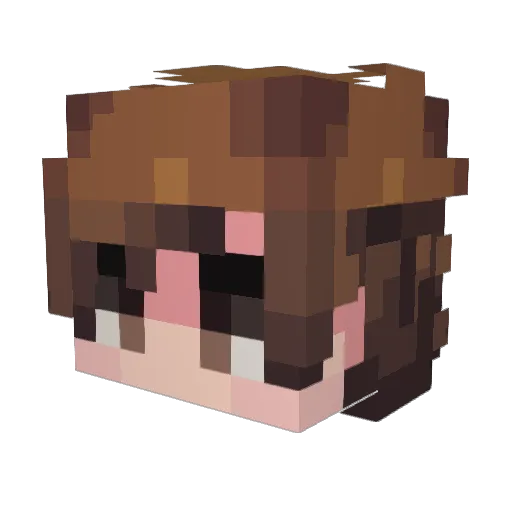 Pint0Oo Minecraft avatar head, 3D render