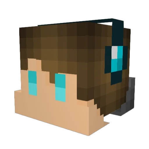 Pinten84 Minecraft avatar head, 3D render