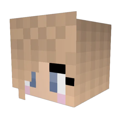 Pinto919 Minecraft avatar head, 3D render