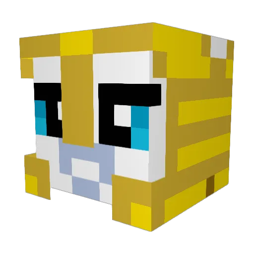 Pintock Minecraft avatar head, 3D render