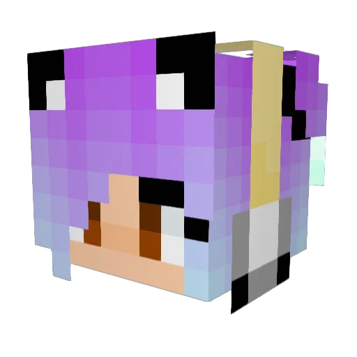 Pintoos Minecraft avatar head, 3D render