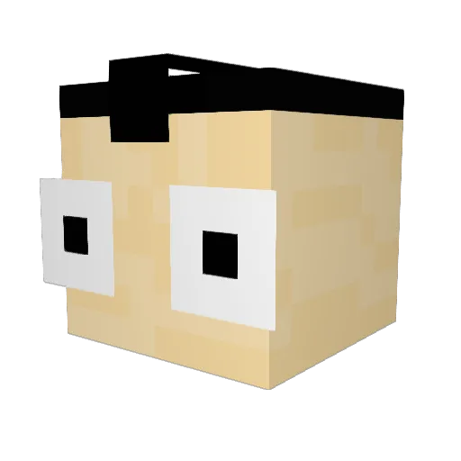 Pinwafflezz Minecraft avatar head, 3D render