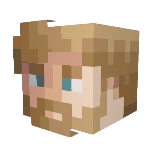 Pinwino_1 Minecraft avatar head, 3D render