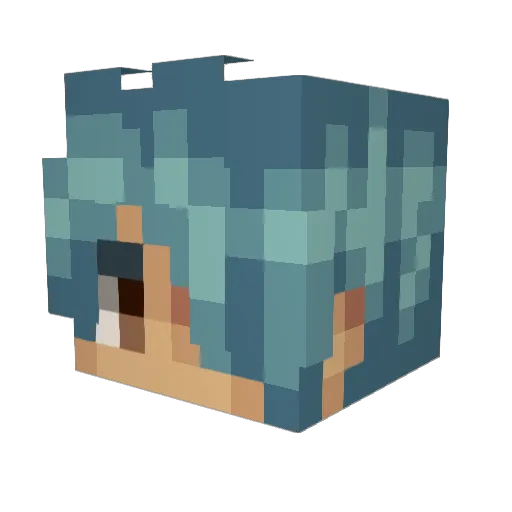 PinyaColadas Minecraft avatar head, 3D render