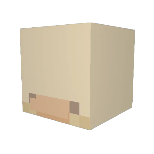 Piolinn34 Minecraft avatar head, 3D render