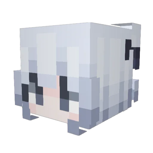 Pionb__js Minecraft avatar head, 3D render