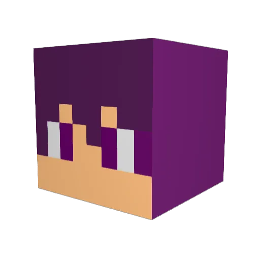 PioneerOp Minecraft avatar head, 3D render