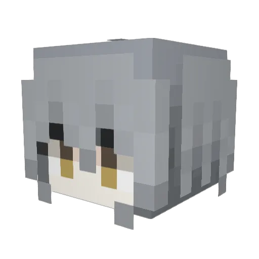 PioneerStar Minecraft avatar head, 3D render