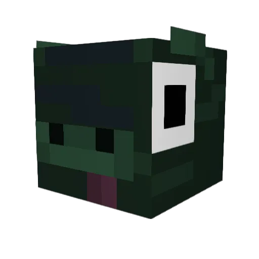 Pioneer_James Minecraft avatar head, 3D render