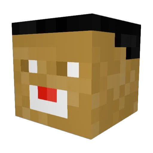 Piortu Minecraft avatar head, 3D render