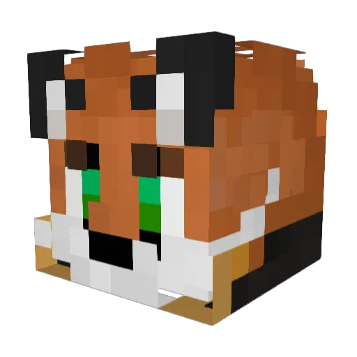 PioteR495 Minecraft avatar head, 3D render