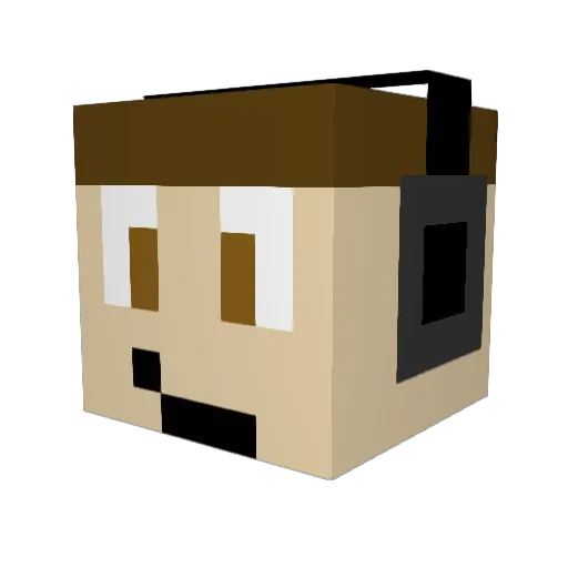 Pioter2014 Minecraft avatar head, 3D render