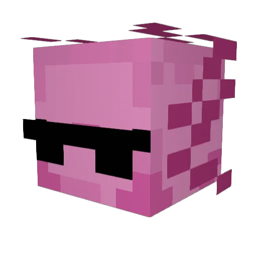 Pioterzak Minecraft avatar head, 3D render