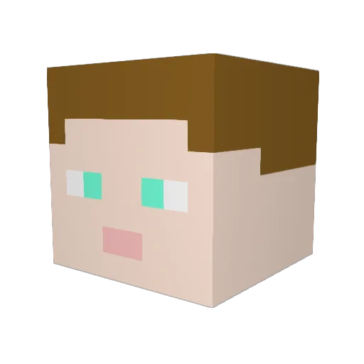 Piotras1615 Minecraft avatar head, 3D render