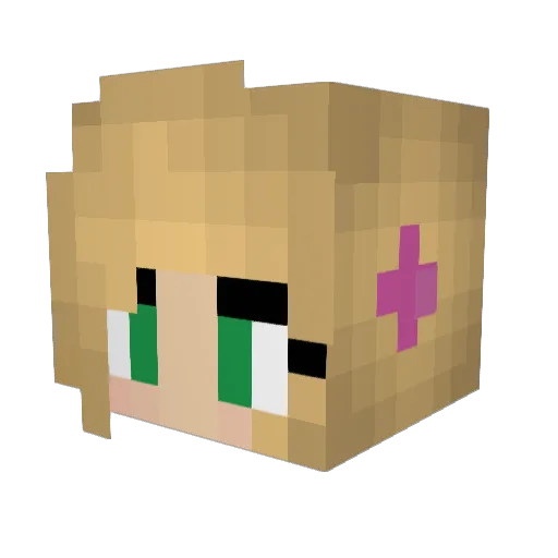 Piotrb1409 Minecraft avatar head, 3D render