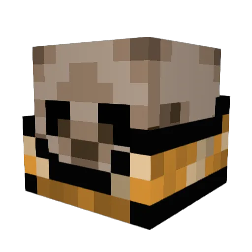 Piotro876 Minecraft avatar head, 3D render