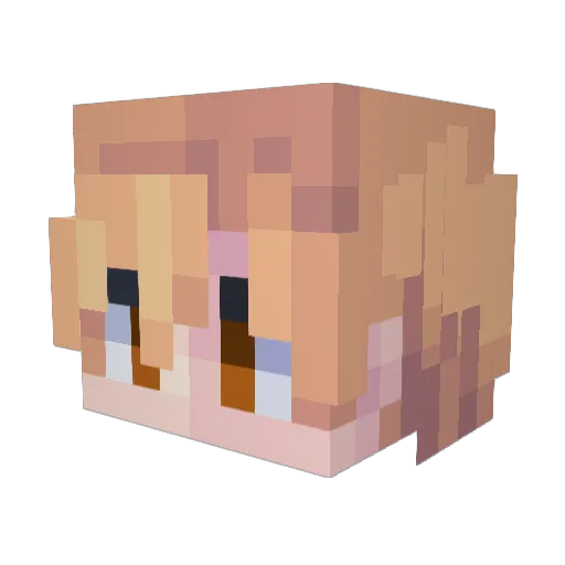 Piotrusiek_ Minecraft avatar head, 3D render