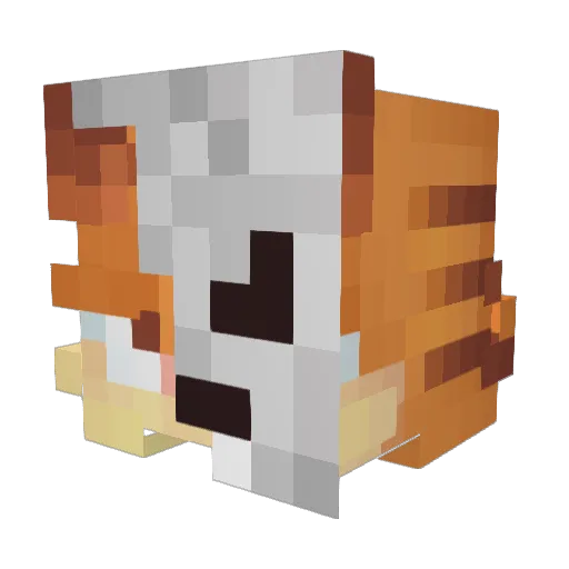PiotrussPann Minecraft avatar head, 3D render