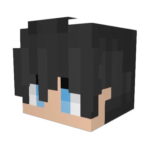 Piox8357 Minecraft avatar head, 3D render