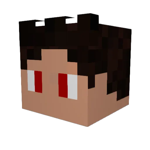 PipaKase Minecraft avatar head, 3D render