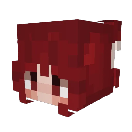 Pipau Minecraft avatar head, 3D render