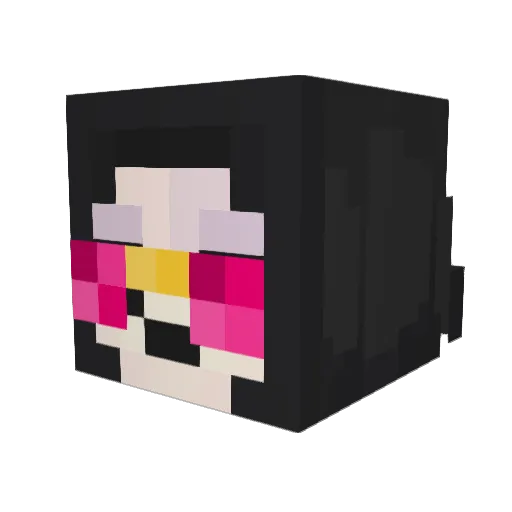 Pipaz0oo Minecraft avatar head, 3D render