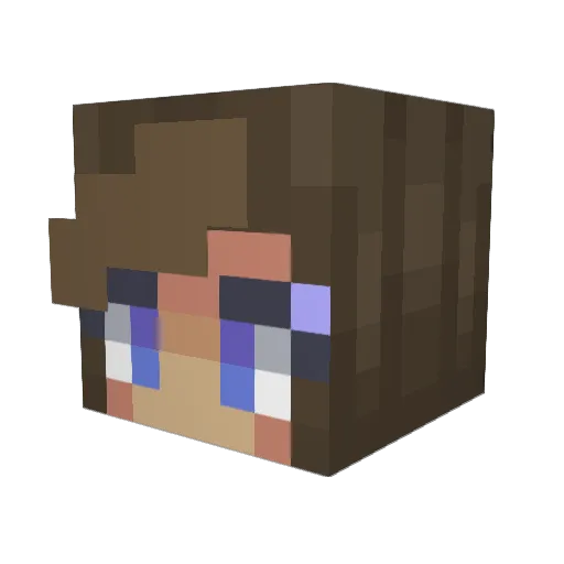 Pipbit456 Minecraft avatar head, 3D render