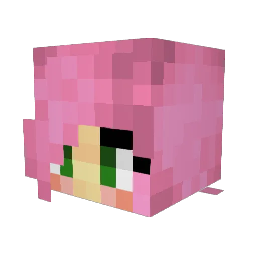 Pipi2015 Minecraft avatar head, 3D render