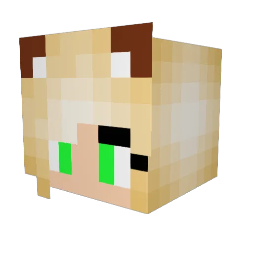 Pipilota Minecraft avatar head, 3D render